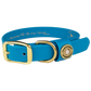 Water Dog Collar Aqua Blue - Over Under Clothing