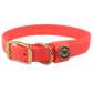 Water Dog Collar Blaze Orange